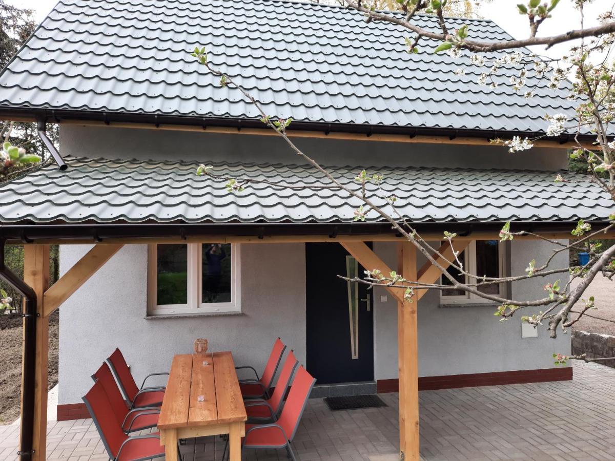 Noclegi Różanka ugości w domku wielosezonowym grupę do 6 osób Radomierz Exterior foto